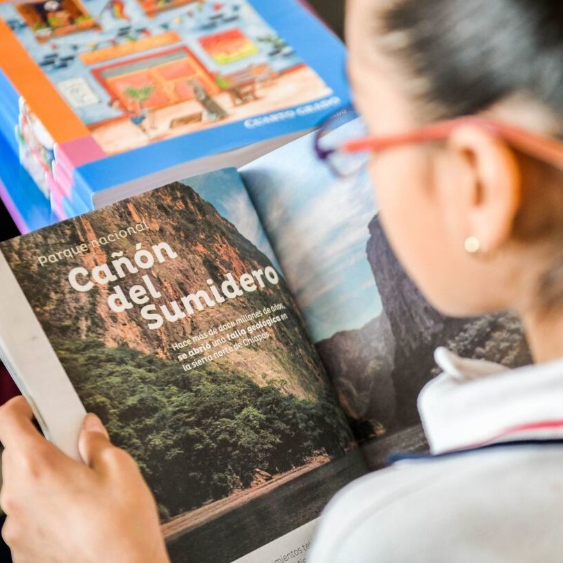 Plan de estudios de educación básica